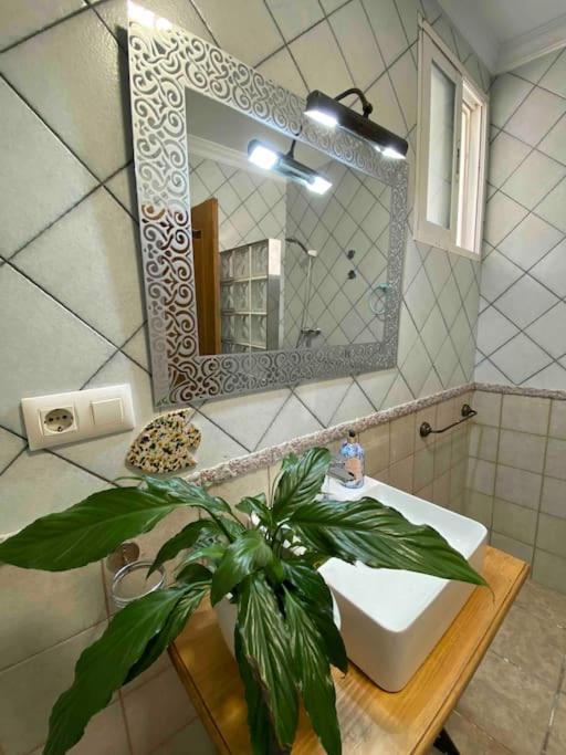 Сasa de vacaciones La Casa Del San Anton Níjar