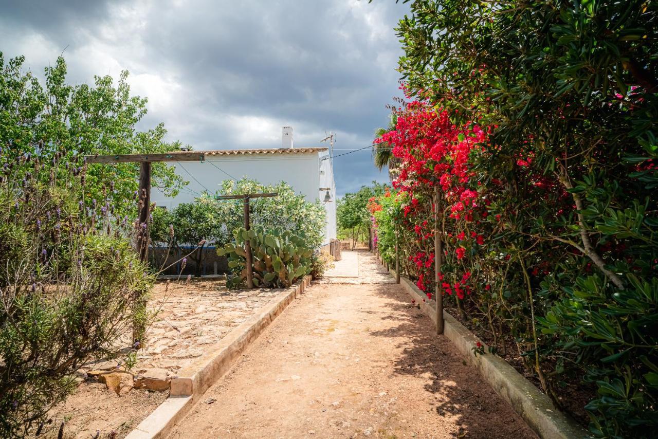 Casa Pep Marti Villa San Francisco Javier