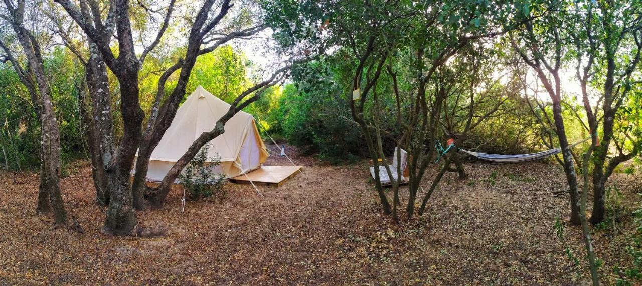 Tulpa Cadiz Campsite Malcocinado (Andalucia)
