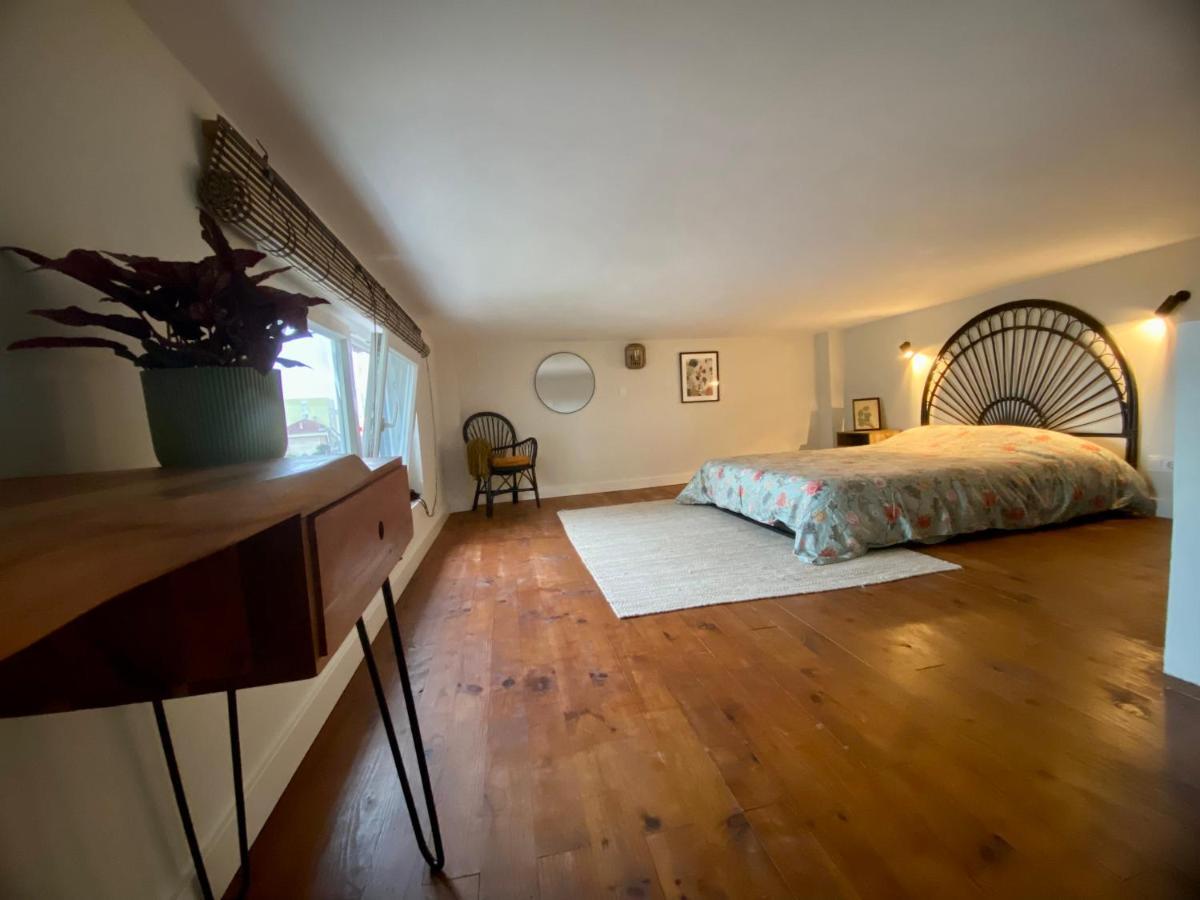 Apartamento Acogedor Bajo Con Jardín En El Centro De