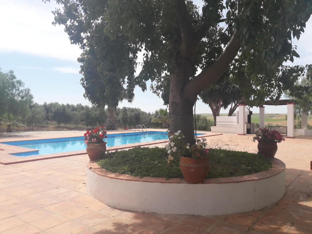 Finca Castellares Lora del Rio