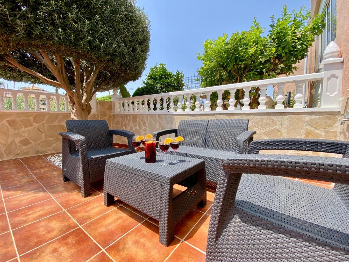 Olive Tree La Zenia *