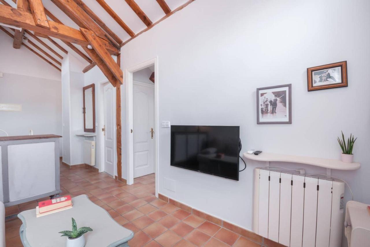 Cozy One-bedroom Penthhouse La Latina Apartment