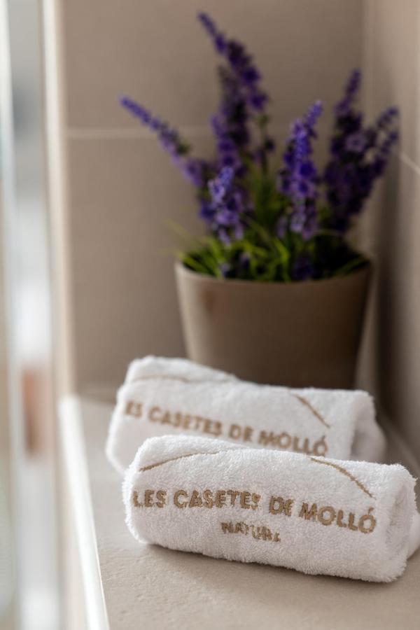 Apartment Les Casetes De *