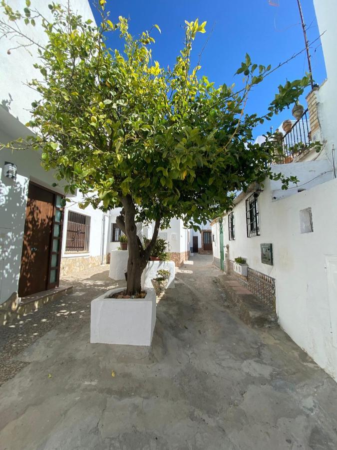Casa Paqui Conil De La Frontera