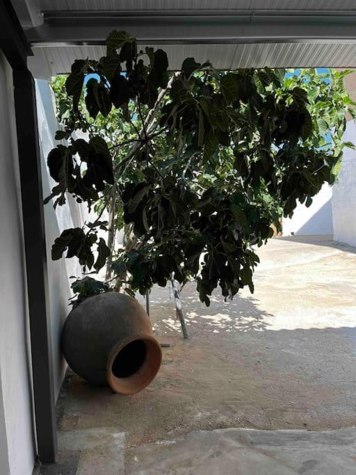 Сasa de vacaciones Agradable Casa Con Chimenea Interior Y Barbacoa. *