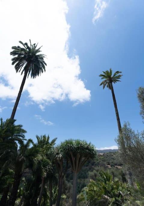 Holiday home Artiles Las Palmas de Gran Canaria