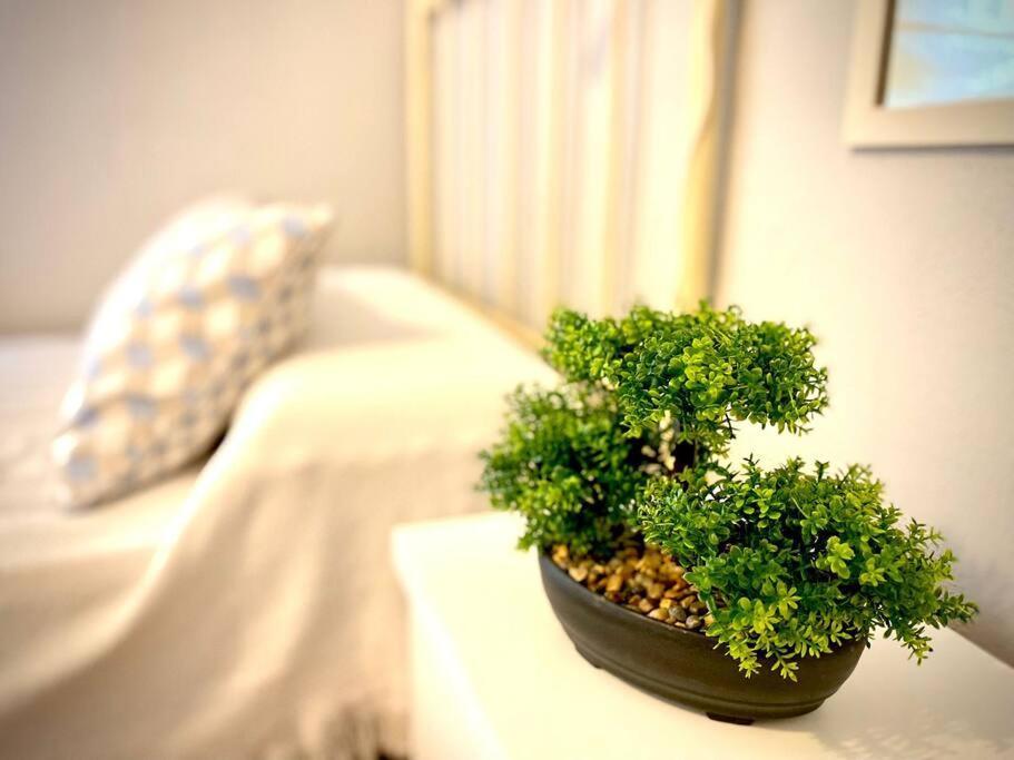 Mychoice Marina Apartamento Rota