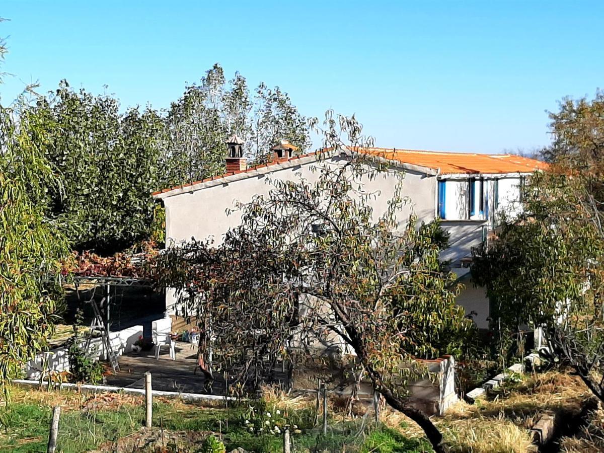 La Balsa Agroturismo Alquife