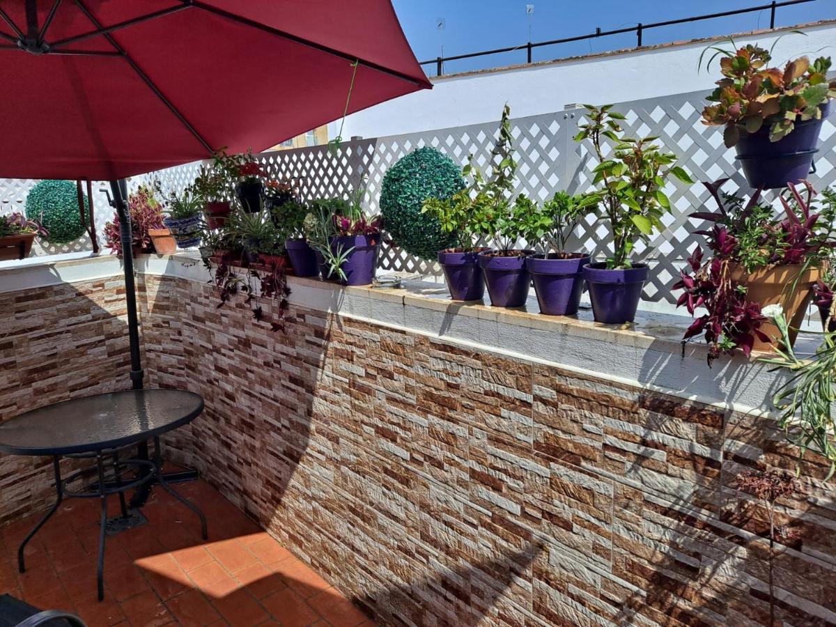 Apartamento Atico Duplex Marques De Reyes *