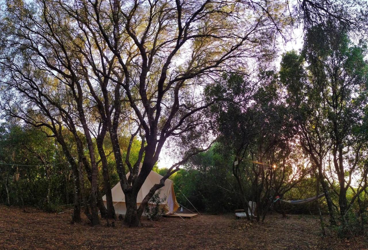 Campsite Tulpa Cadiz