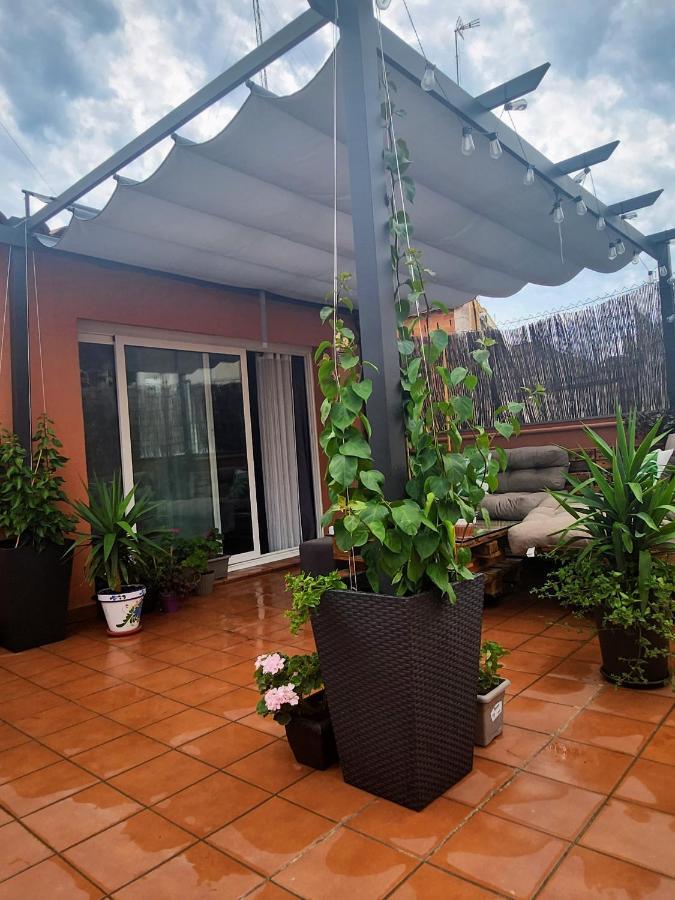 Estudio Con Terraza Campo de lujo