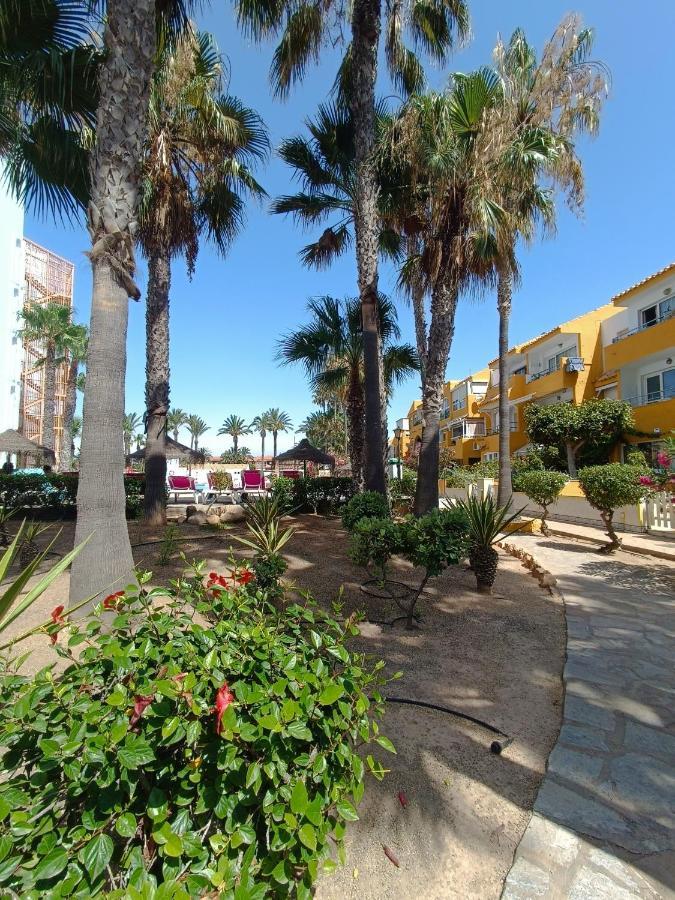 Apartamento Mangos