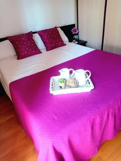 Acogedor Apartamento Con Piscina Y Garaje Huesca