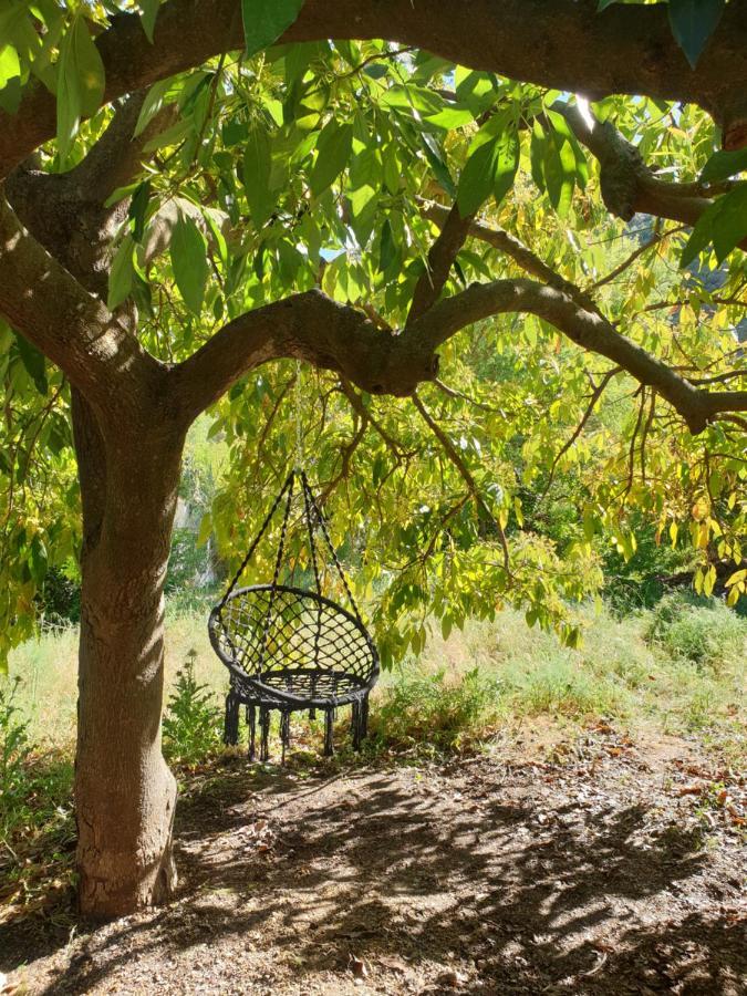 Vegan Pereila Bed & Breakfast