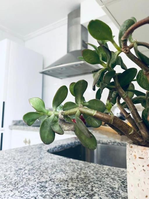 Apartamento Musalla Almería