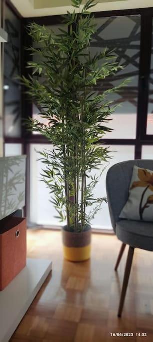 Apartamento Bolardos
