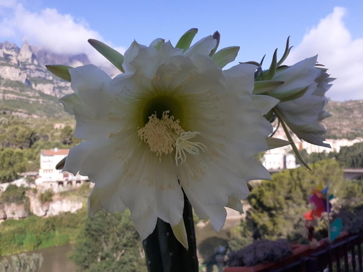 Apartamento Piso Con Desayuno Incluido Y Vistas A La Montana. Monistrol de Montserrat