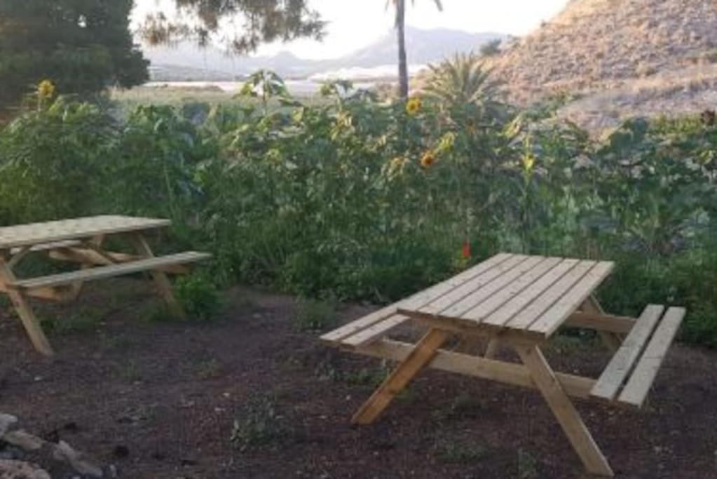 Oasis De Ifre Holiday home
