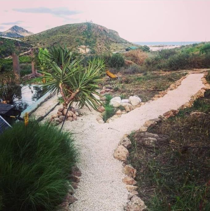 Oasis De Ifre