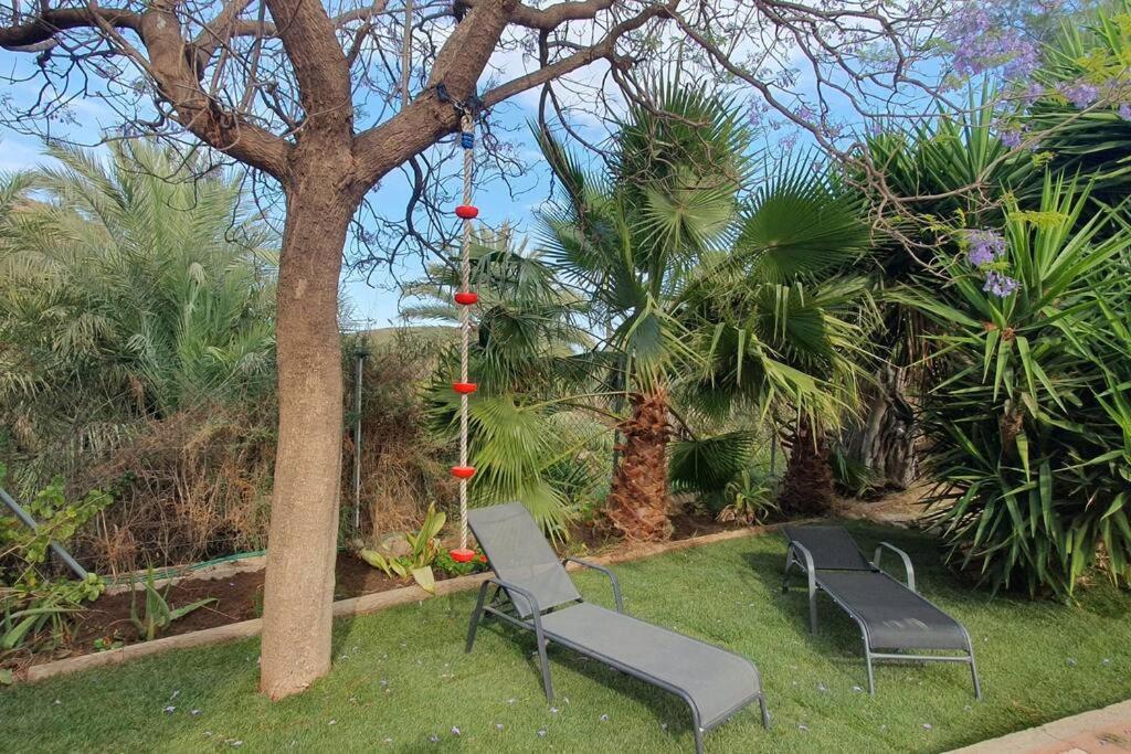 Oasis De Ifre
