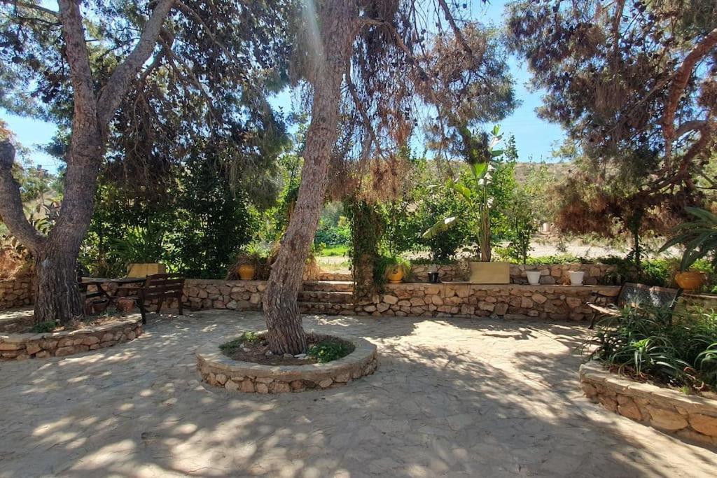 Oasis De Ifre Canada de Gallego