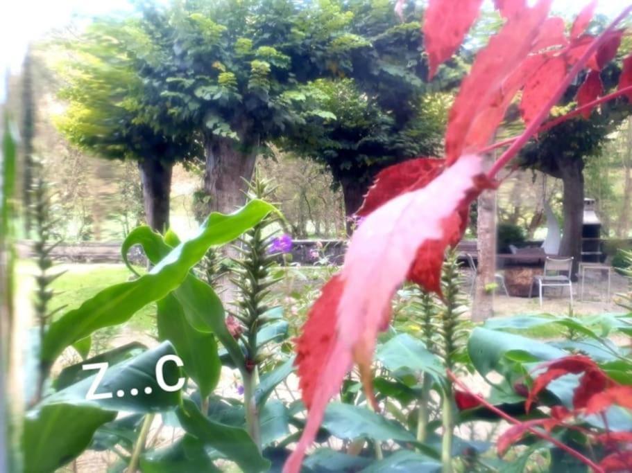 Zentral Club Neutron-jacuzzi Apartamento *