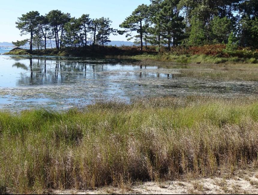 Espectacular Con Piscina Inifity * Vilagarcía de Arousa