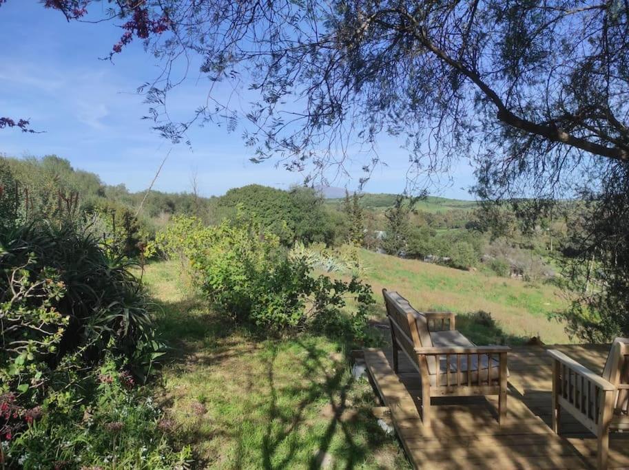 Holiday home Flor De Pita Jimena De La Frontera