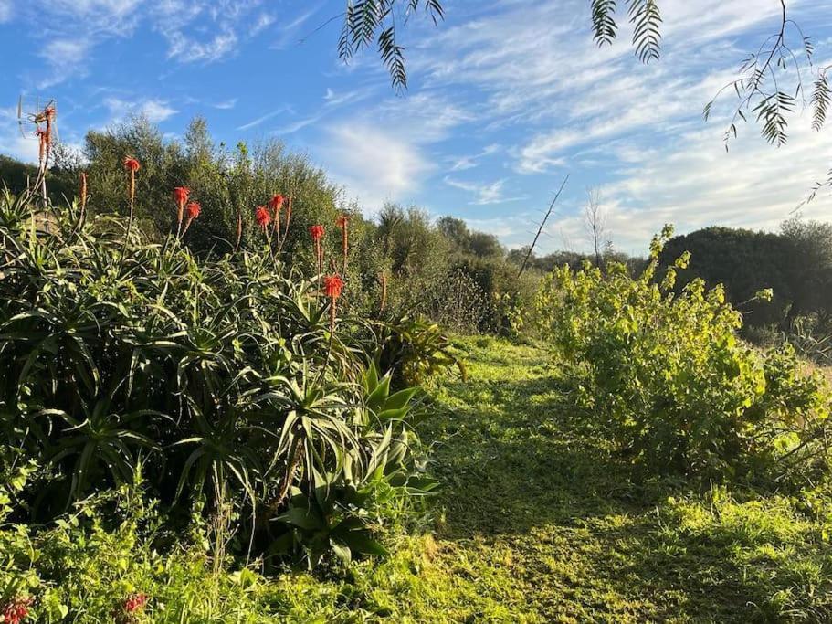 Holiday home Flor De Pita