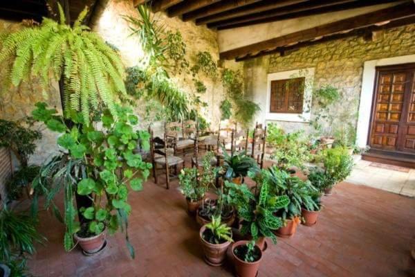 Guest house Octavio 2*