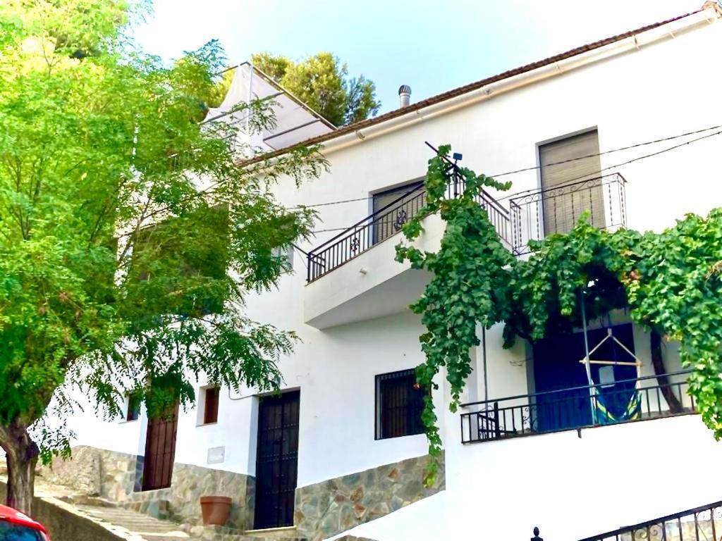 Casa Amigos - La Vina