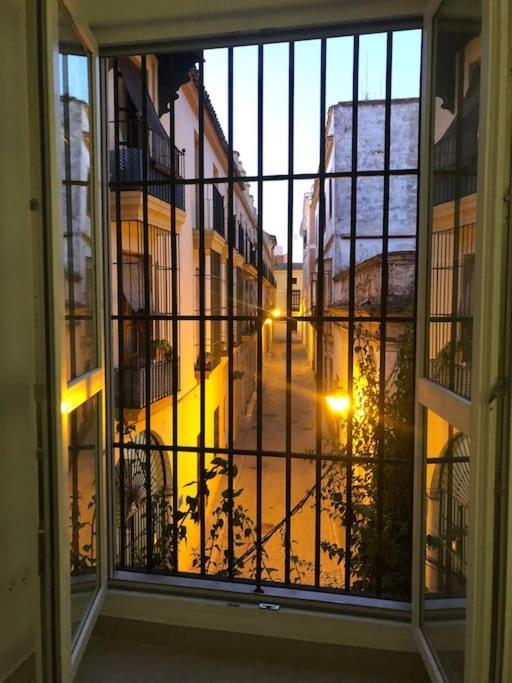 Apartamento En Plaza Plateros