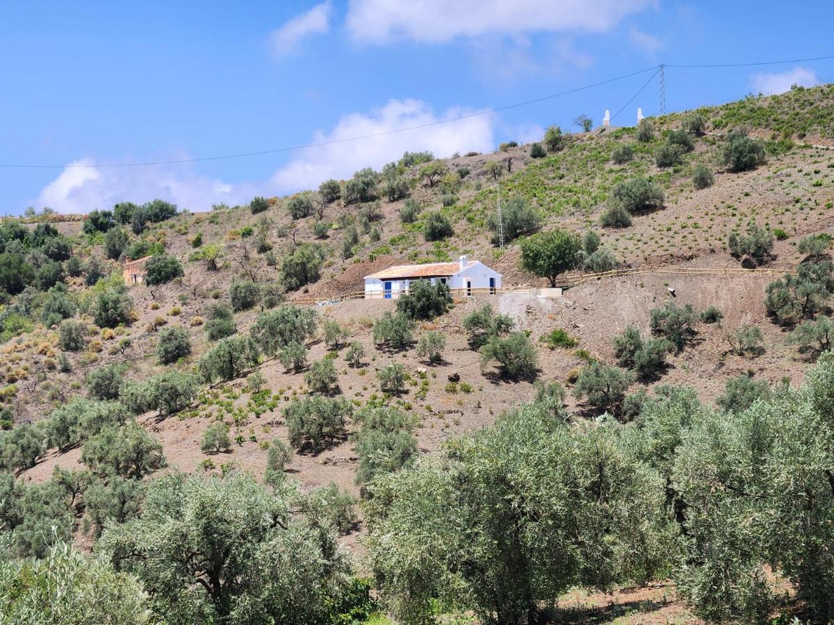 Gabriel Villa Canillas de Albaida