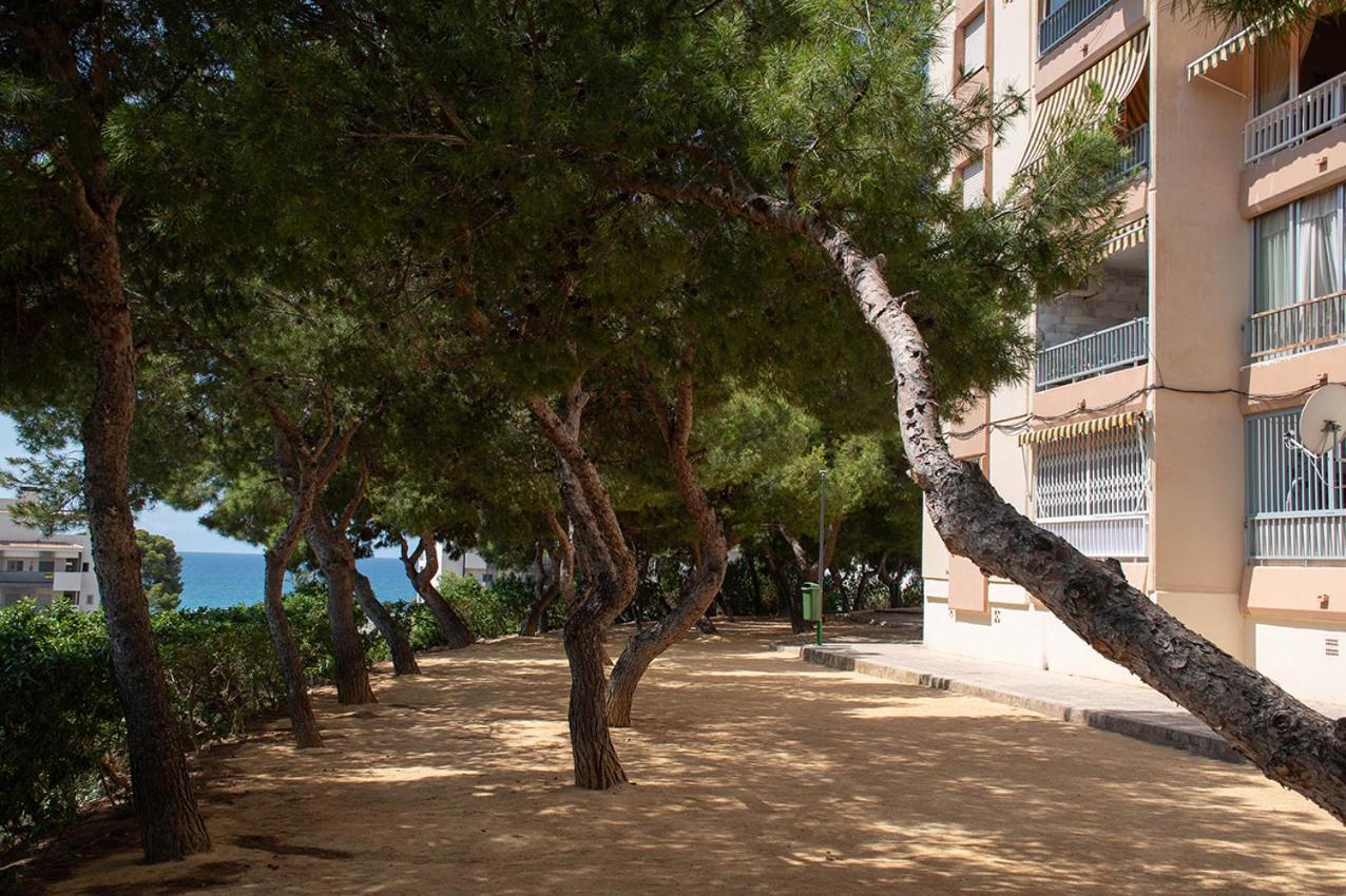Little Gem In Apartment Villajoyosa