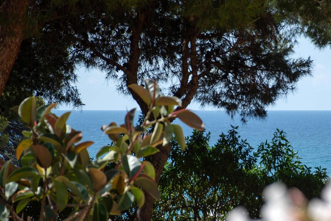 Little Gem In * Villajoyosa