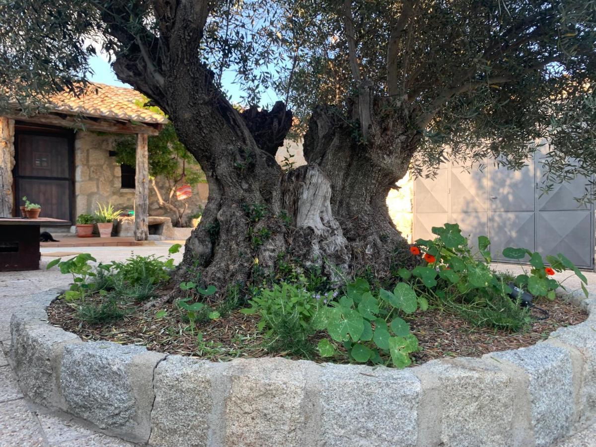 La Casita Del Hortelano Robledo de Chavela