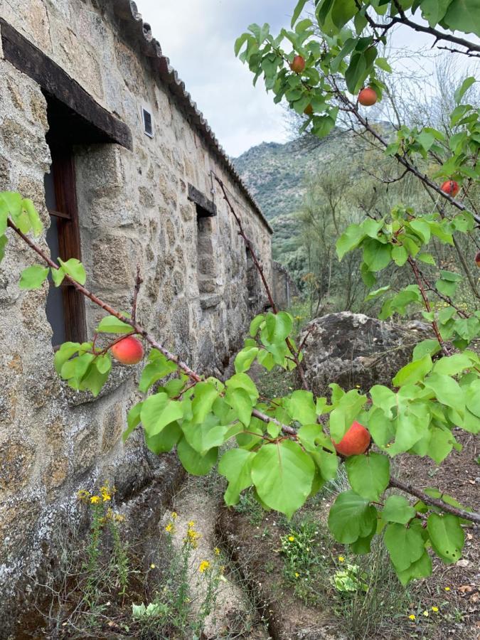 La Casita Del Hortelano Сasa de vacaciones *
