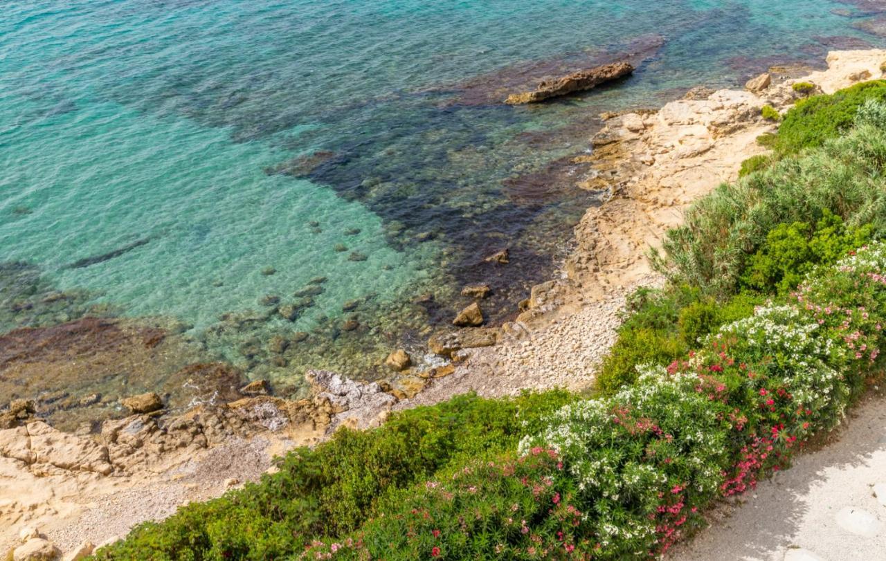 Mar De Moravit By Nora Moraira