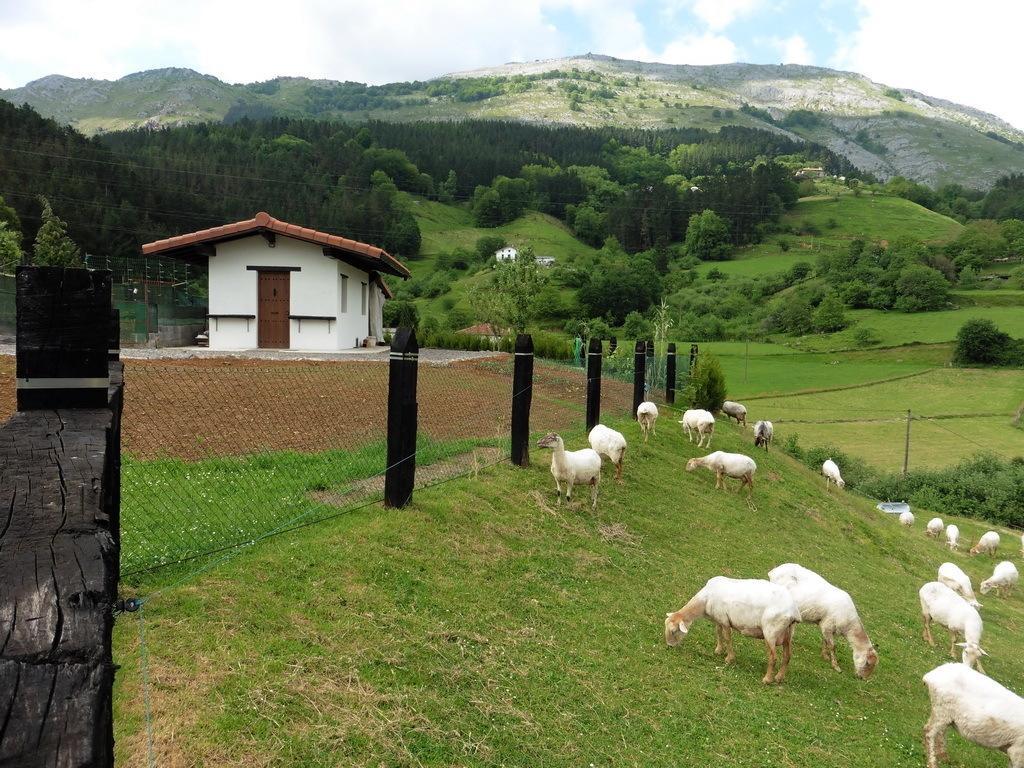 Casa rural Txanpardin *