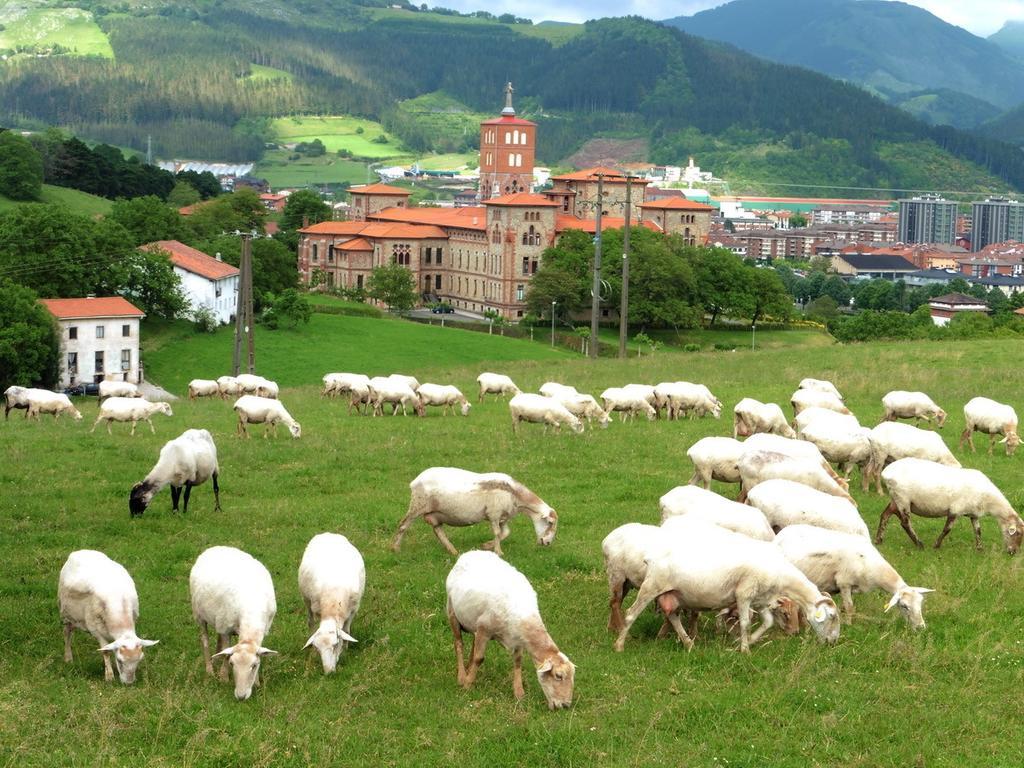 Txanpardin Casa rural *