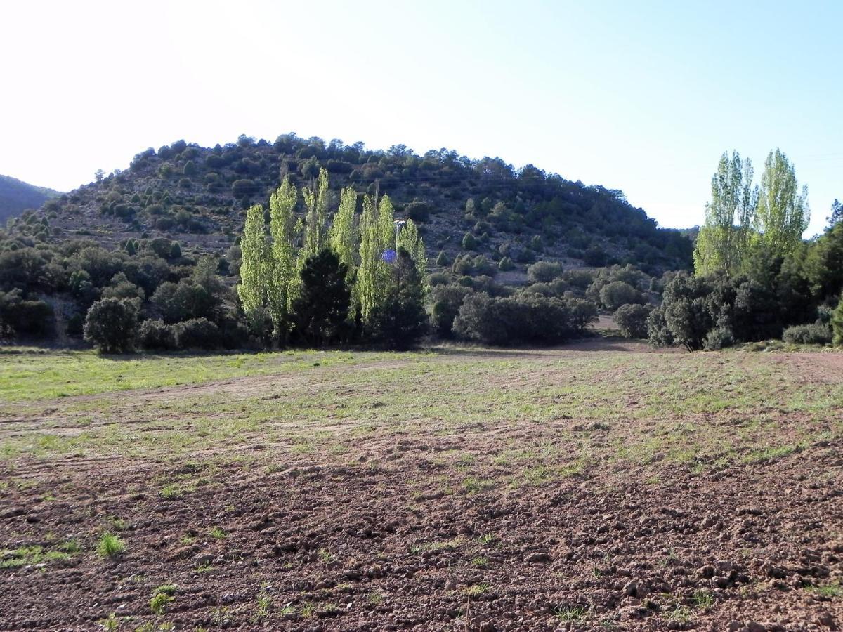 Country house Mas De Munoz