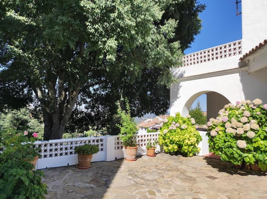 Casa Pomar - Preciosa Casa Con Piscina Y Vistas A La Sierra Grazalema