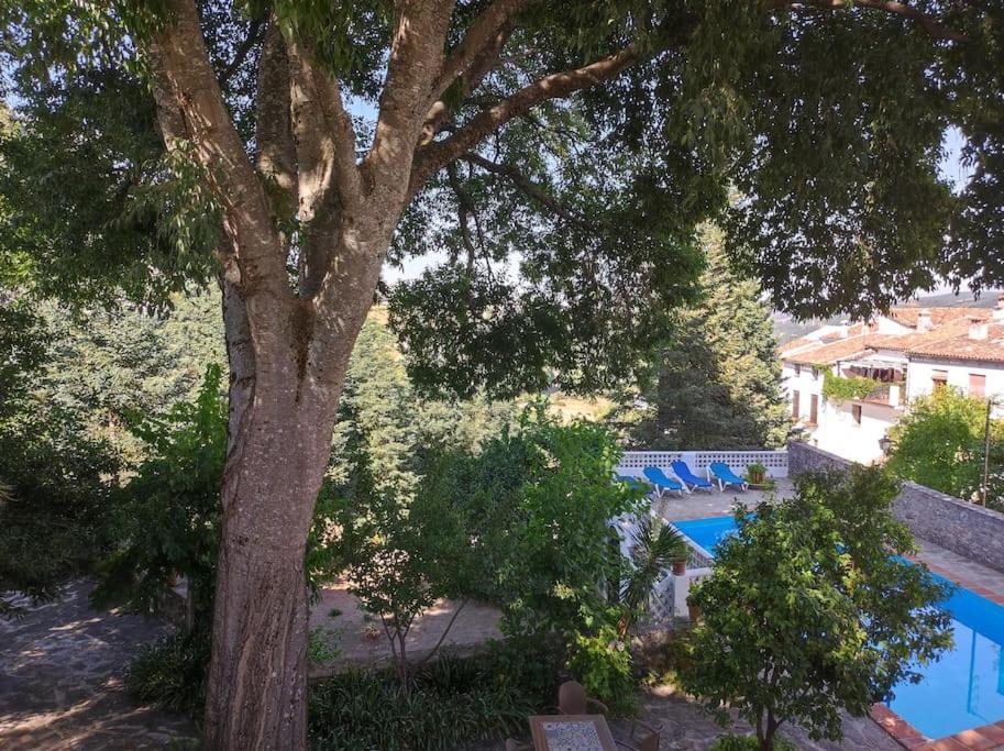 Casa Pomar - Preciosa Casa Con Piscina Y Vistas A La Sierra