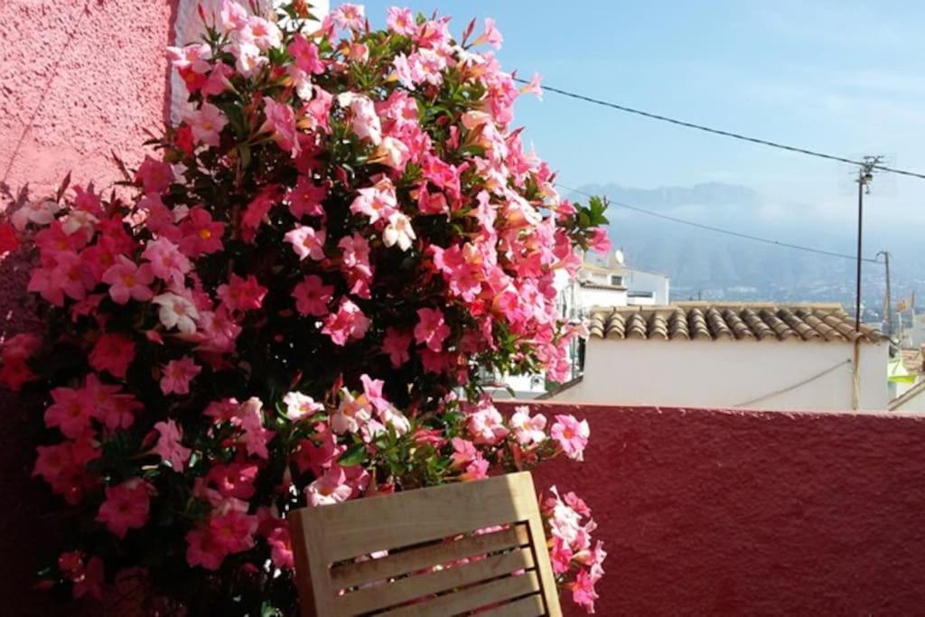 Casa Regina Casco Antiguo By Delucaco Holiday home Altea