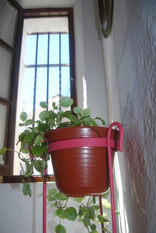 El Rinconcito Holiday home *