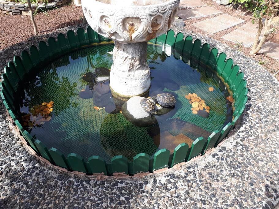 Apartamento Tranquilo En Casa Con Jardin La Laguna (Tenerife)