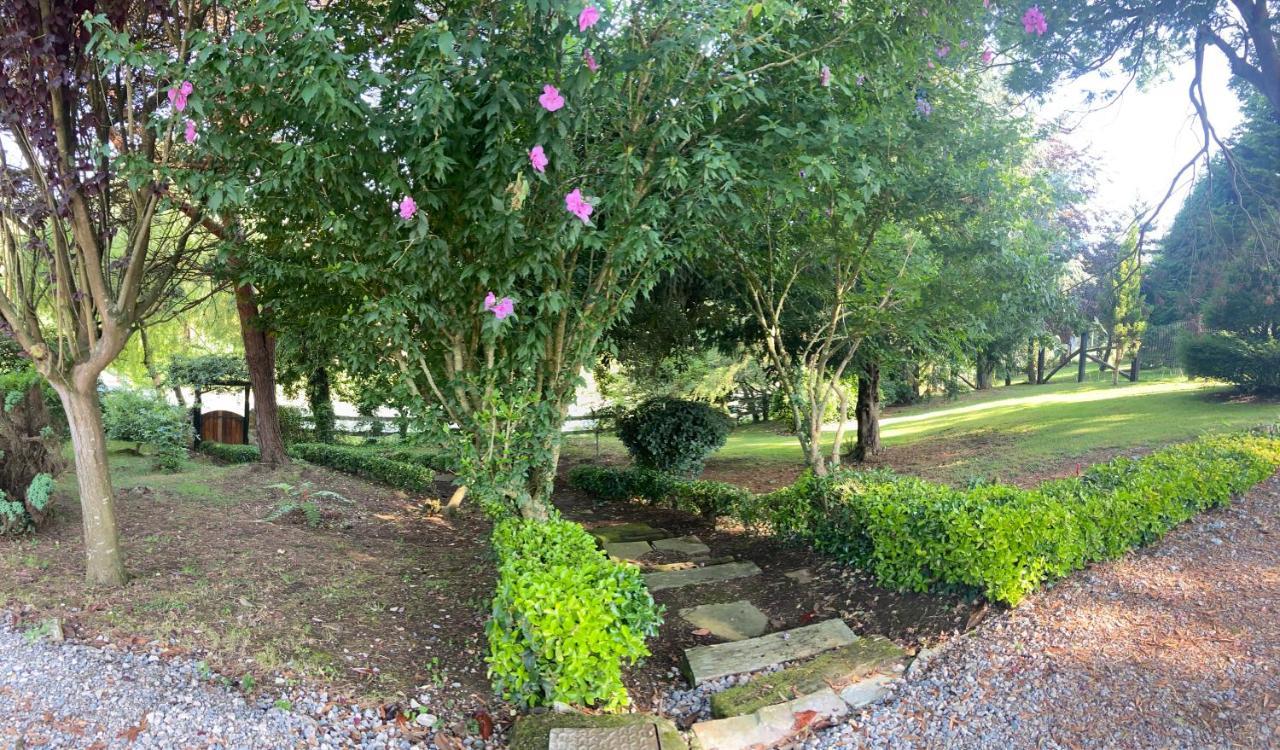 Garden Rock Apartment