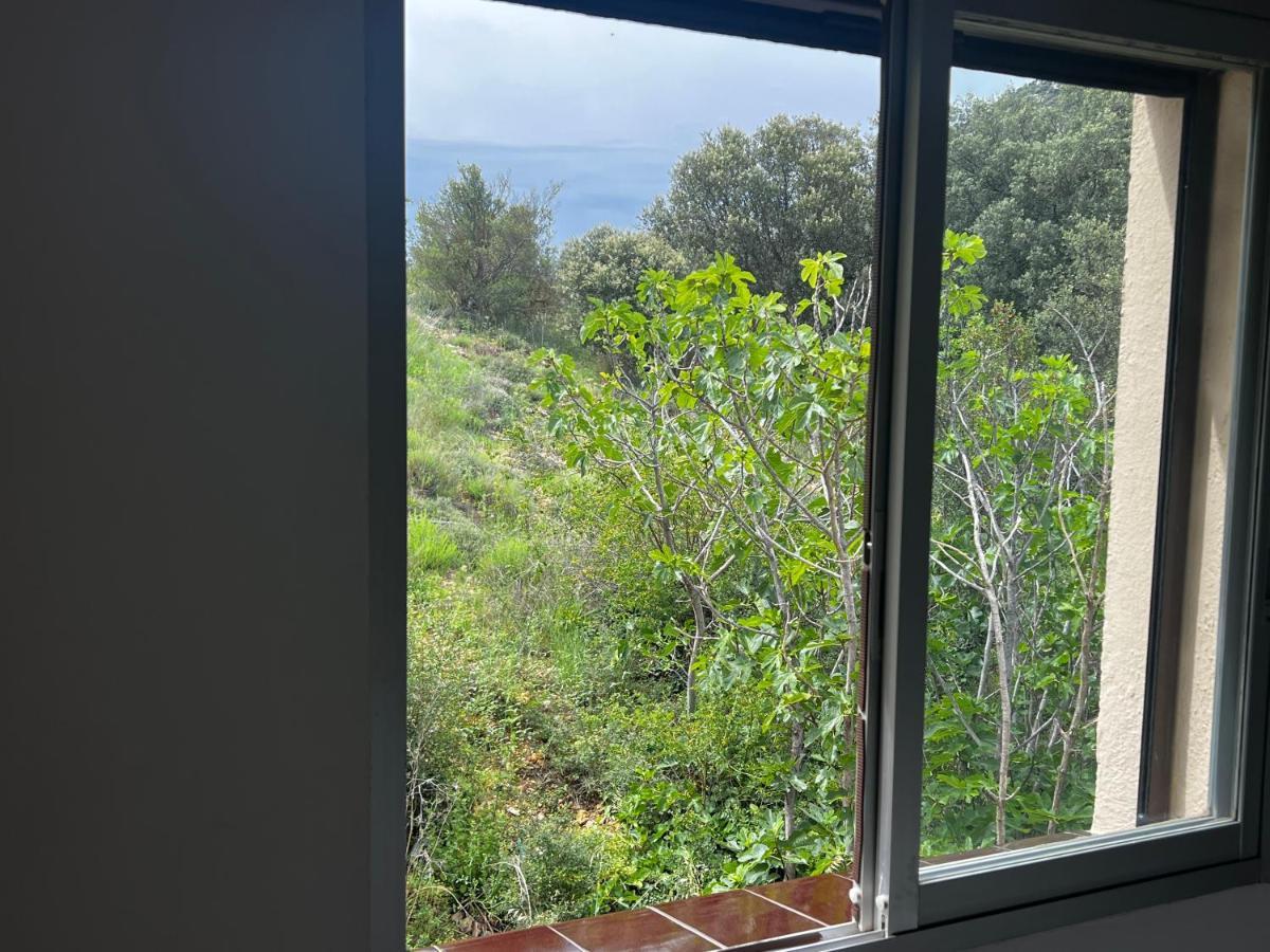 Apartamento La Pertusa 2o *