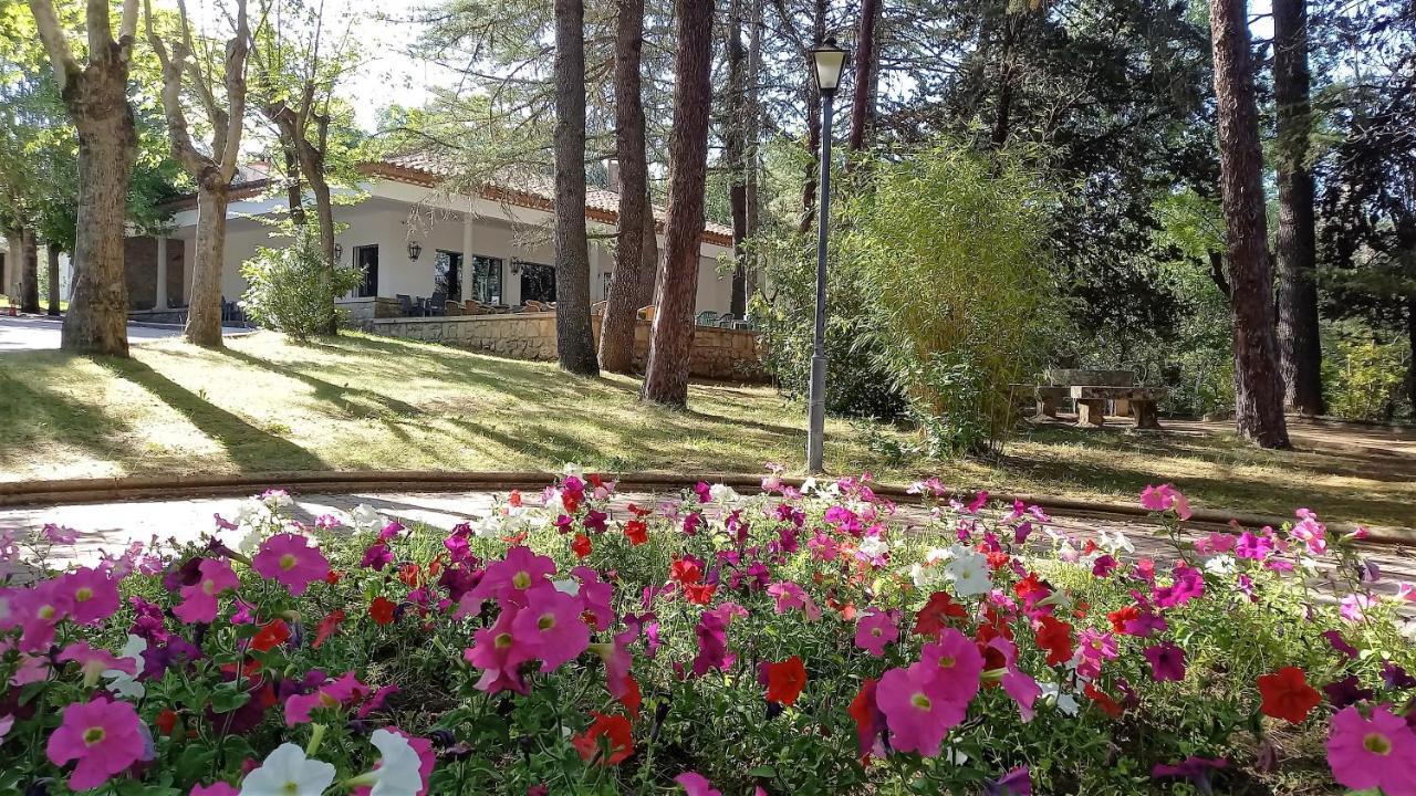 Hotel Balneario De 3*